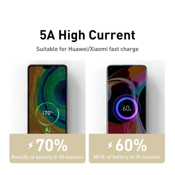 Baseus Cafule Series 100W USB C to USB C Fast Charging Cable Zinc Alloy - Image 2